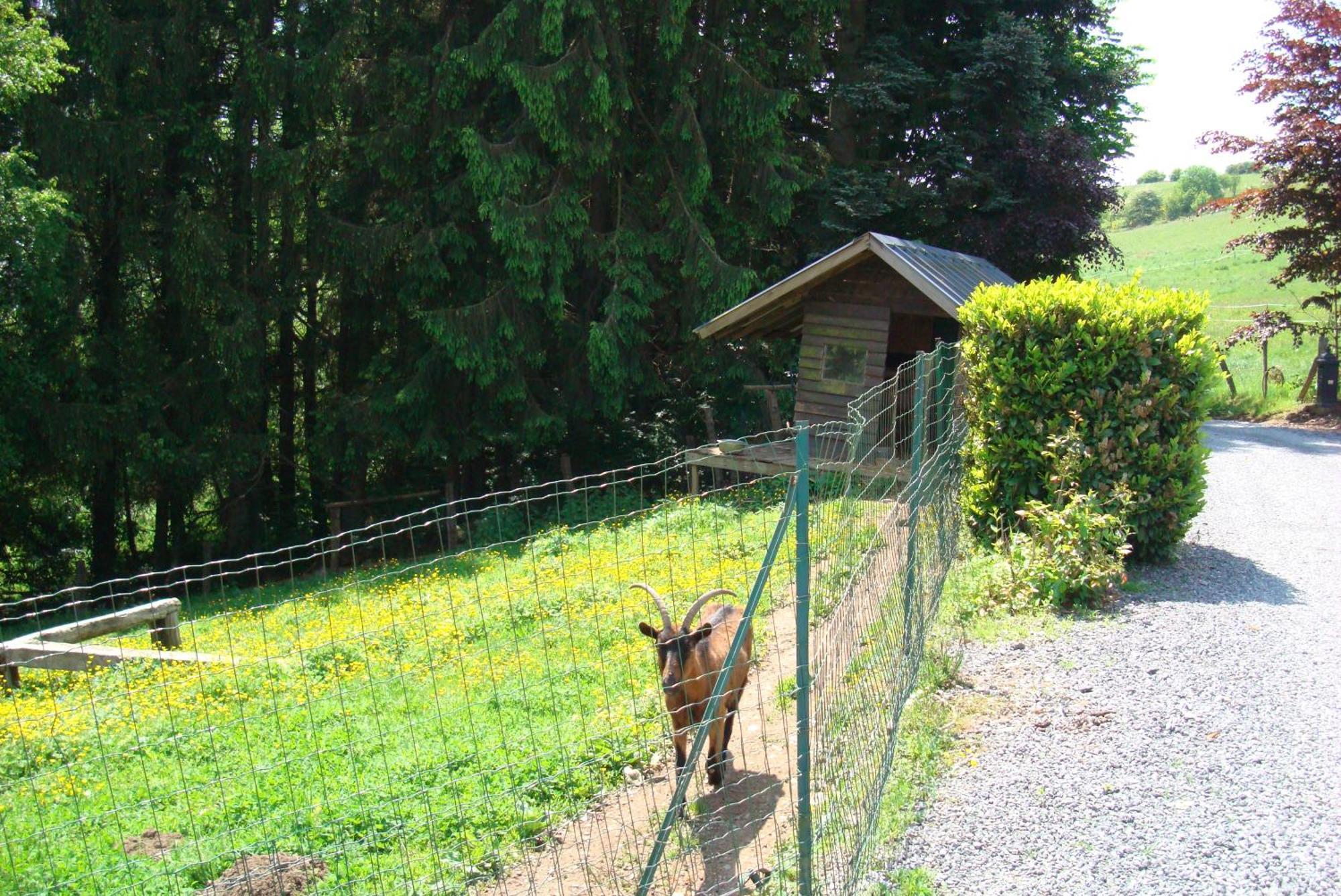 Gite La Gernelle Bouillon Bagian luar foto